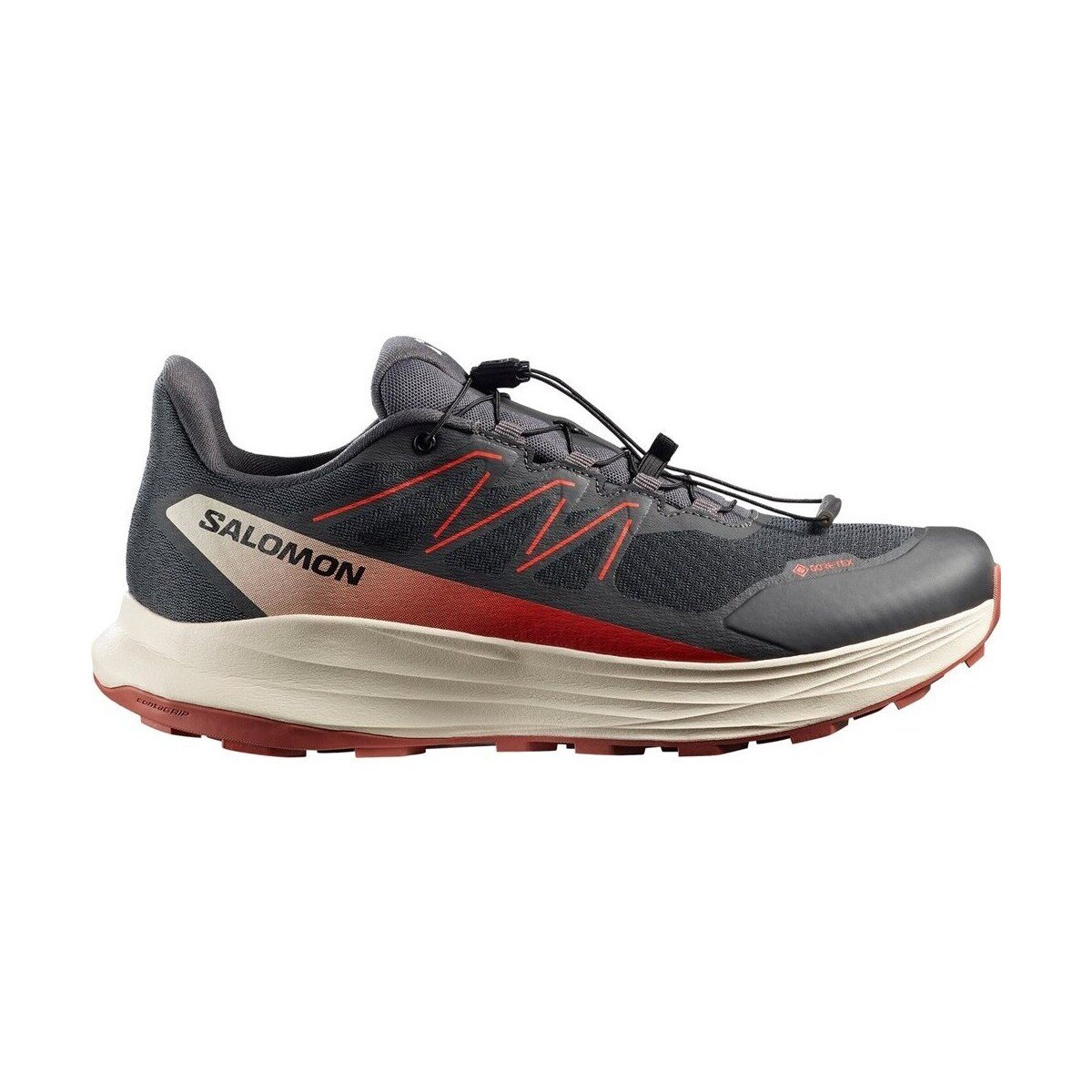 Salomon Pantofi Alpharide 2 GTX