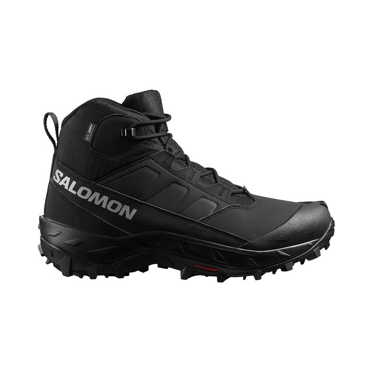 Salomon Pantofi Crosstrak Wp