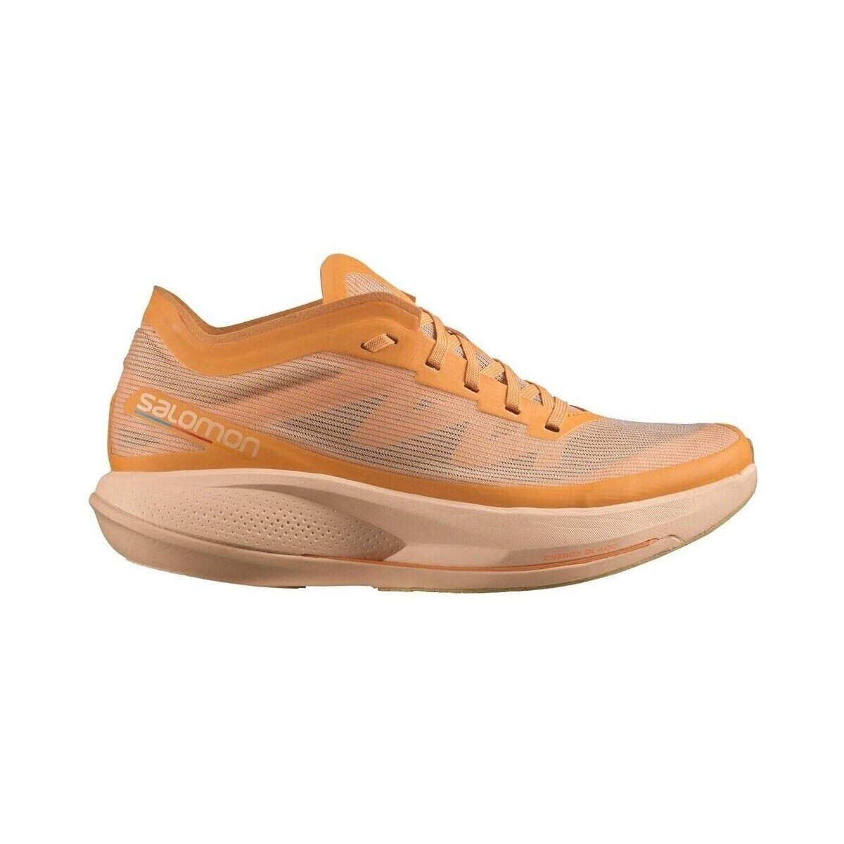 Salomon Pantofi L41610500