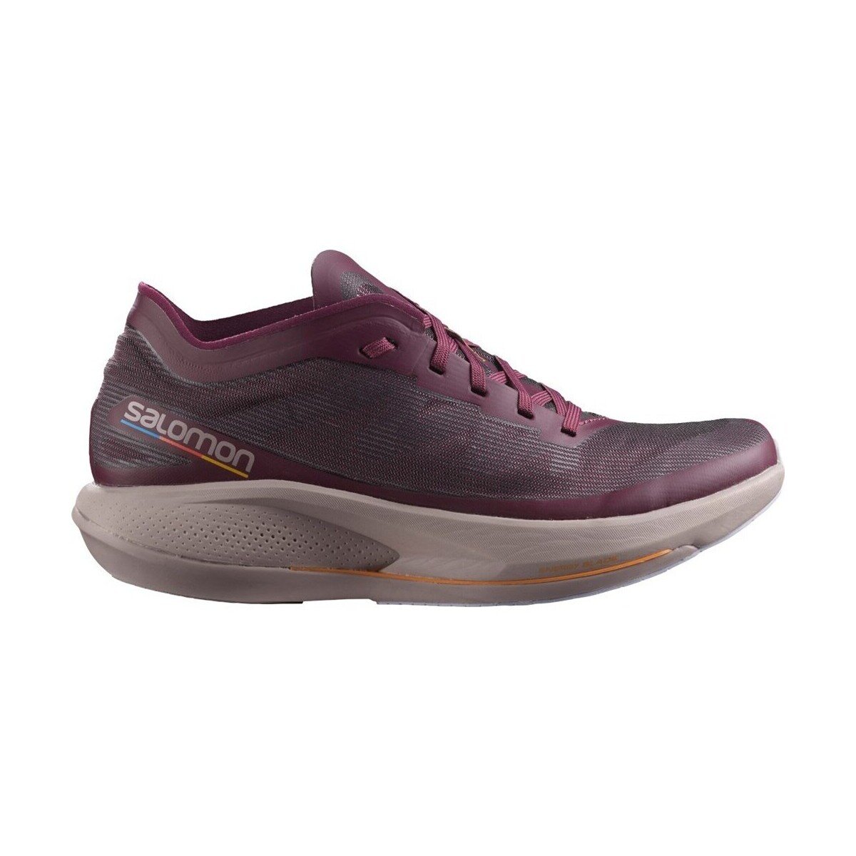 Salomon Pantofi L41610600