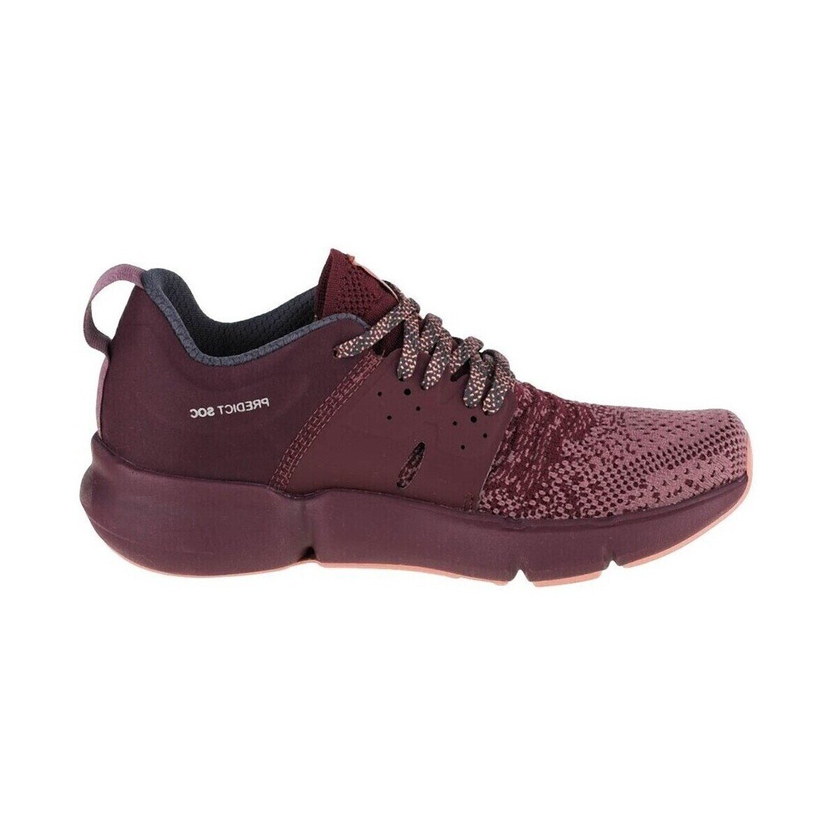 Salomon Pantofi Predict Soc W