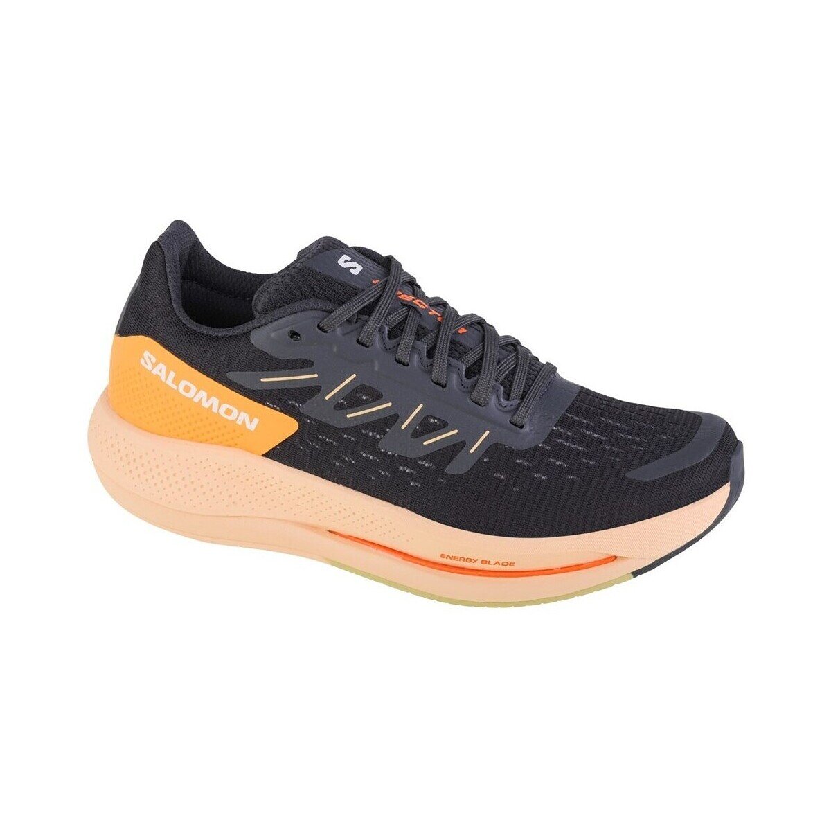 Salomon Pantofi Spectur W
