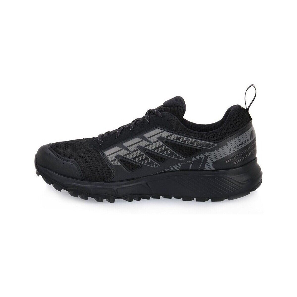 Salomon Pantofi Wander Gtx W