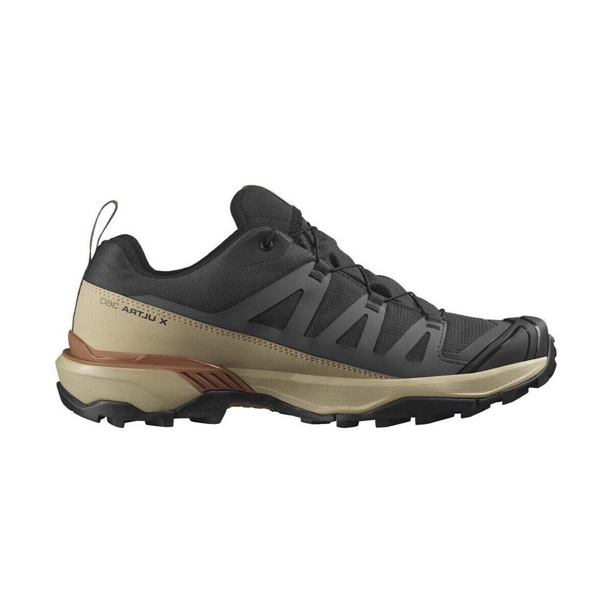 Salomon Pantofi X Ultra 360 Gtx