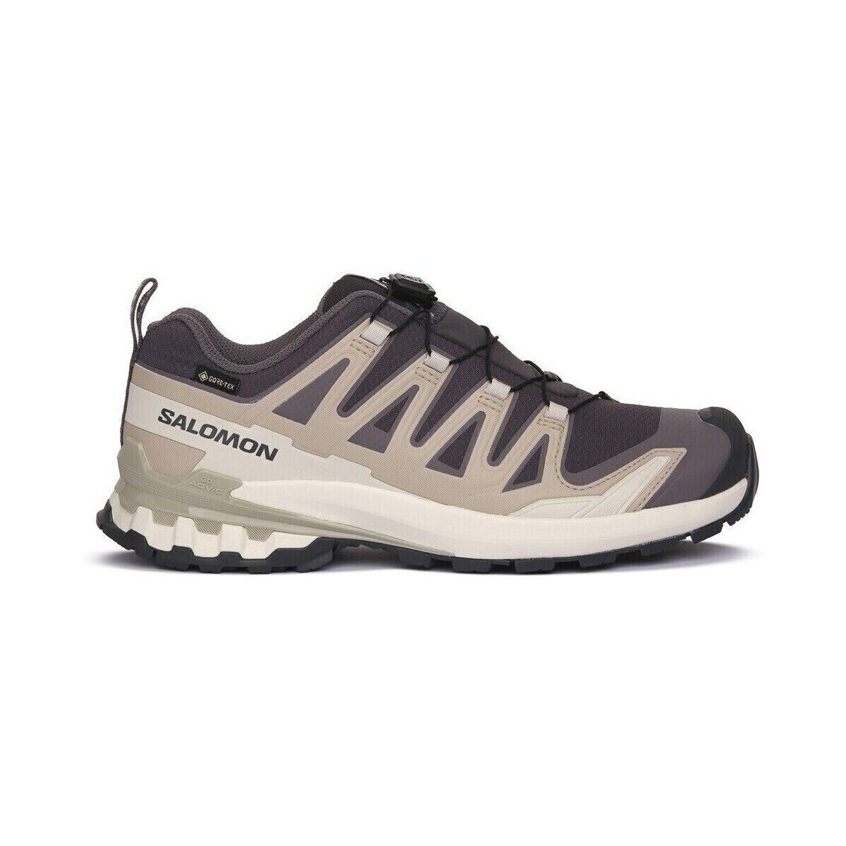 Salomon Pantofi Xa Pro 3d V9 Gtx W