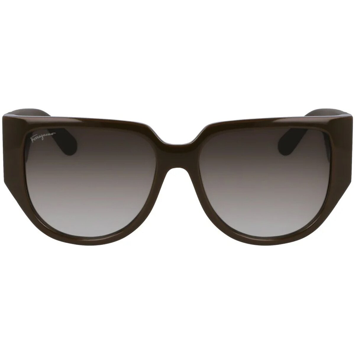 Salvatore Ferragamo Ceasuri & Bijuterii SF1088SE