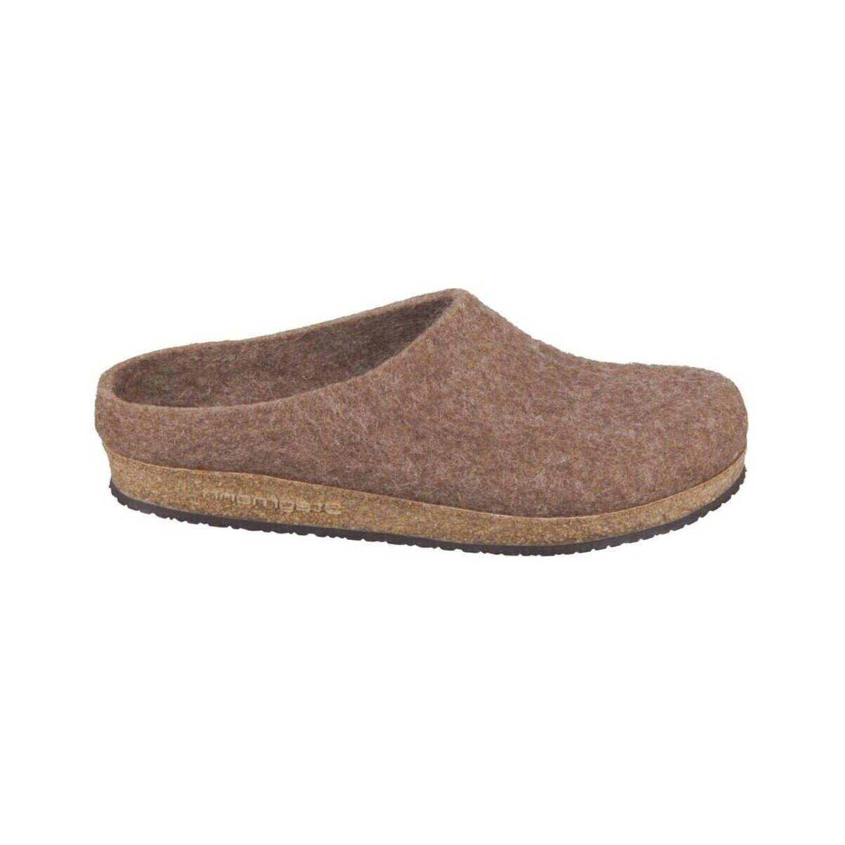 Stegmann Pantofi 1088856