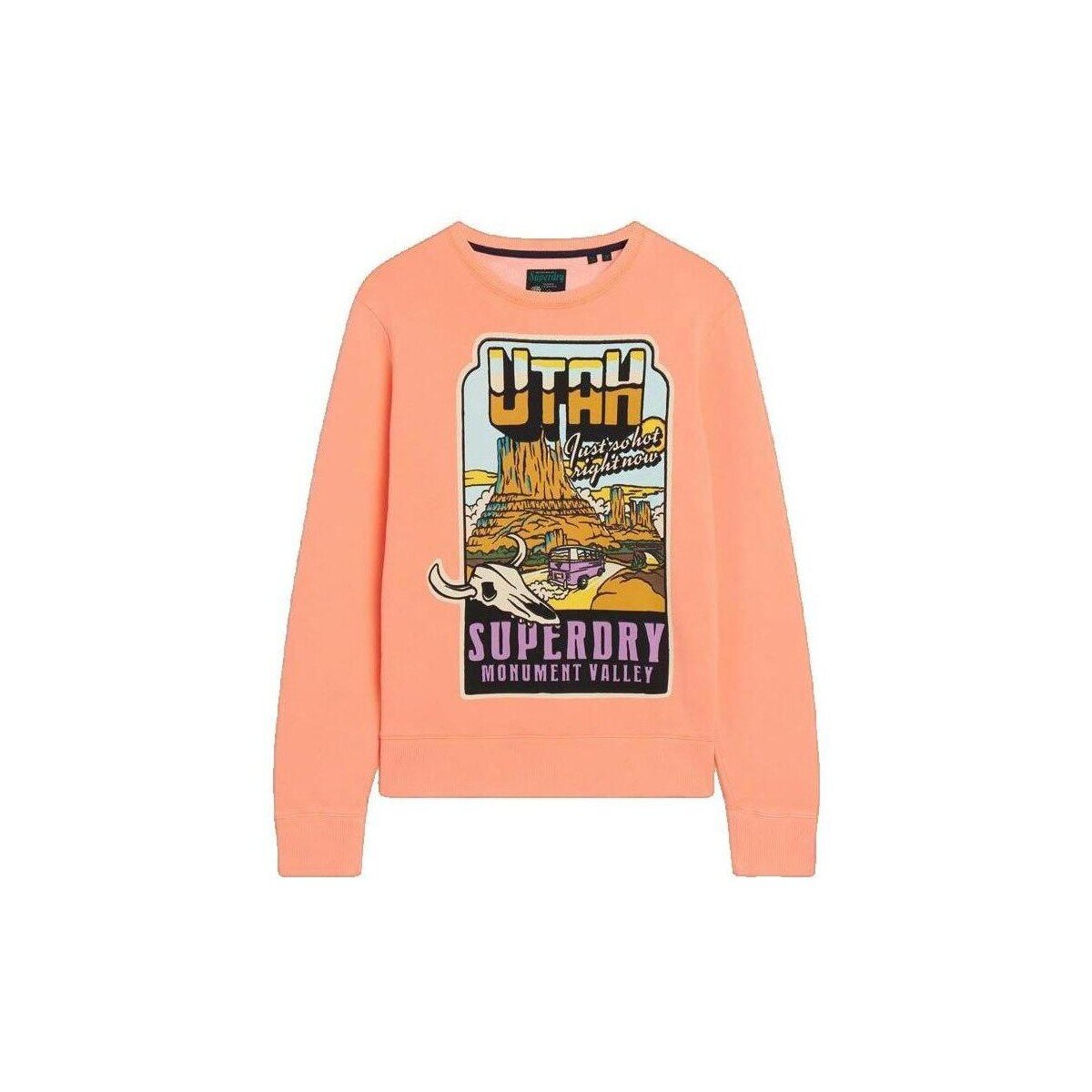 Superdry Îmbracaminte Sweatshirt orange ample unisexe