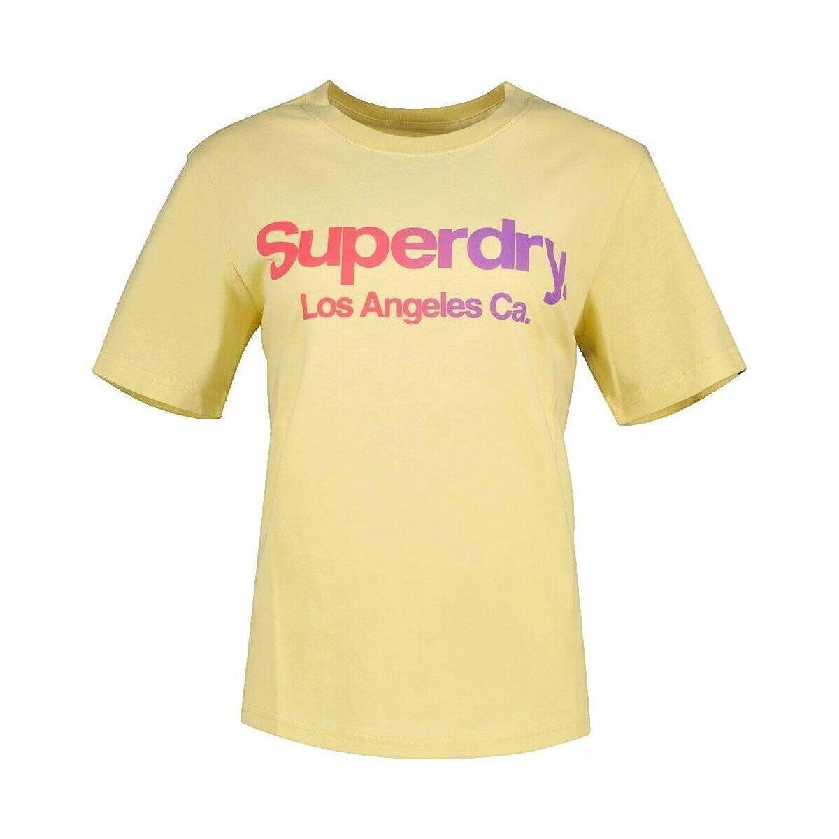 Superdry Îmbracaminte T-shirt Tonal Rainbow Core
