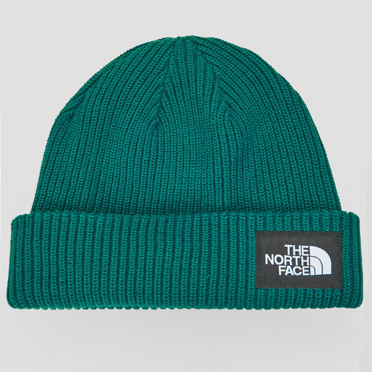 The North Face Accesorii textile SALTY LINED BEANIE