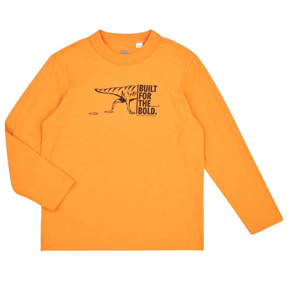 Timberland Îmbracaminte TEE-SHIRT MANCHES LONGUES T60301