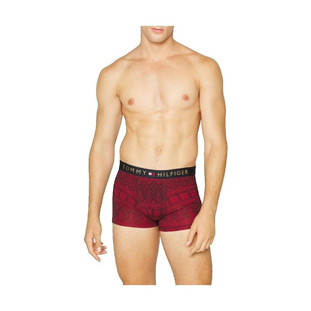 Tommy Hilfiger Îmbracaminte Boxer Marron