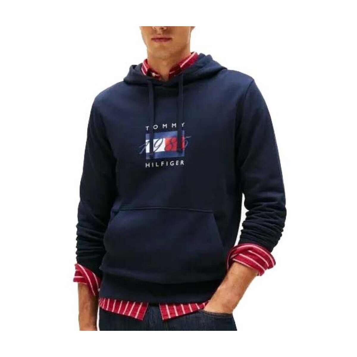 Tommy Hilfiger Îmbracaminte Linear Flag Graphic Hood