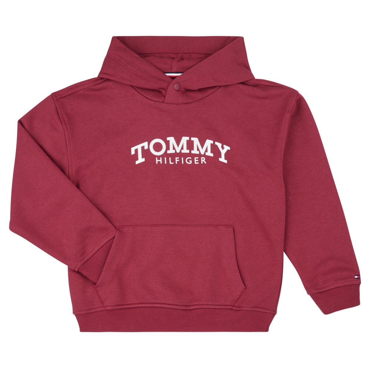 Tommy Hilfiger Îmbracaminte MONOTYPE PRINT HOODIE