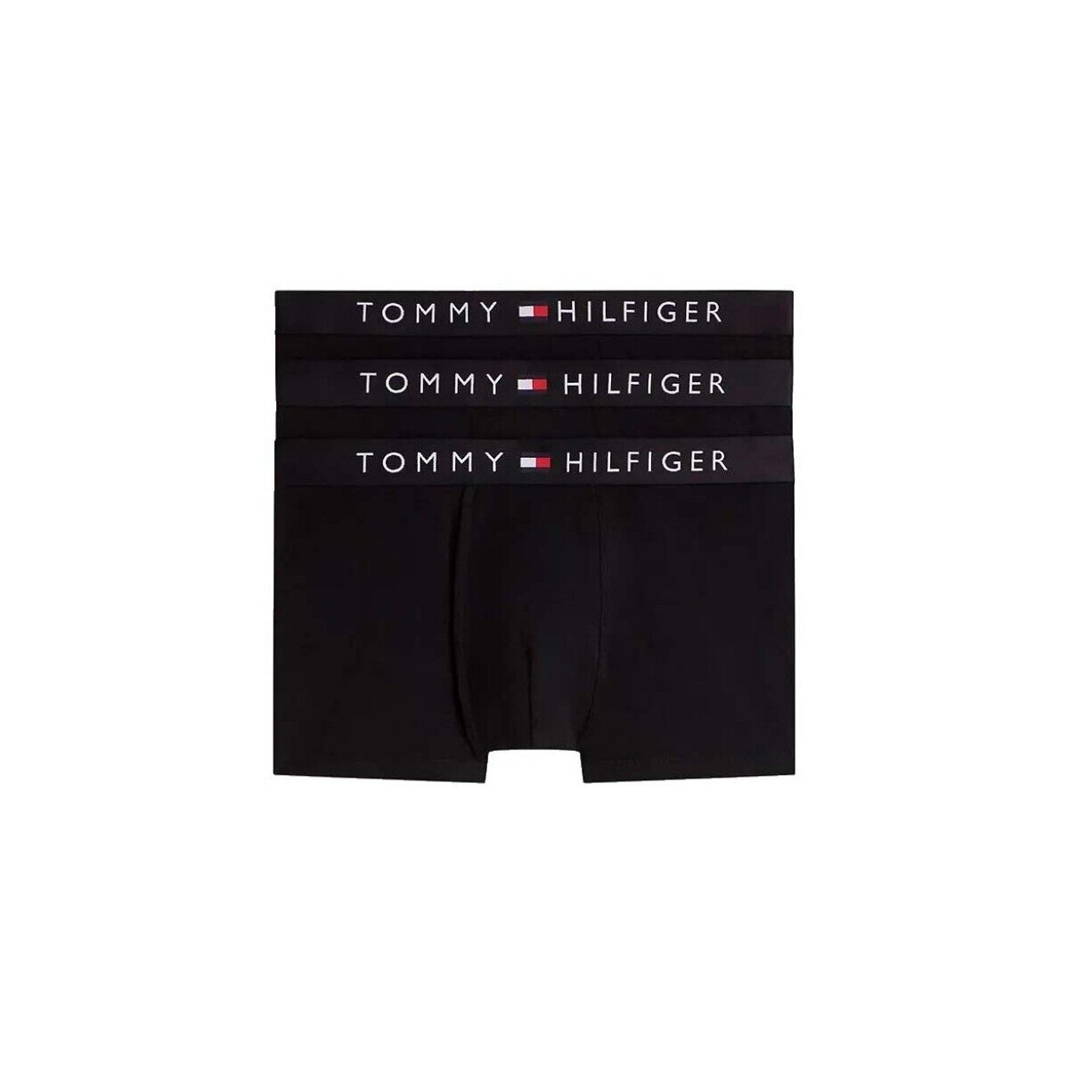 Tommy Hilfiger Lenjerie intimă Um0um03900