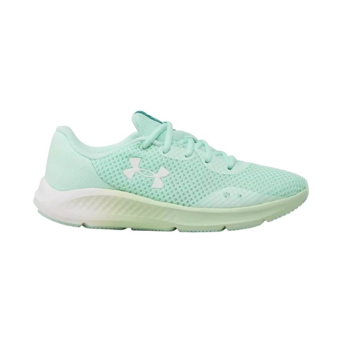 Under Armour Pantofi 3024889300