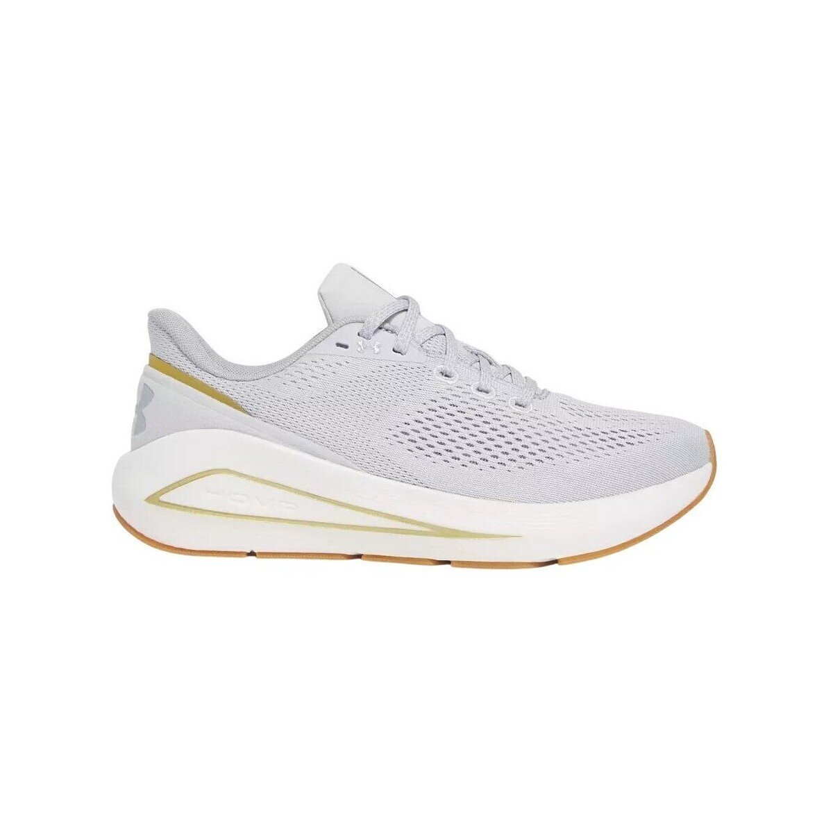 Under Armour Pantofi 3028003014