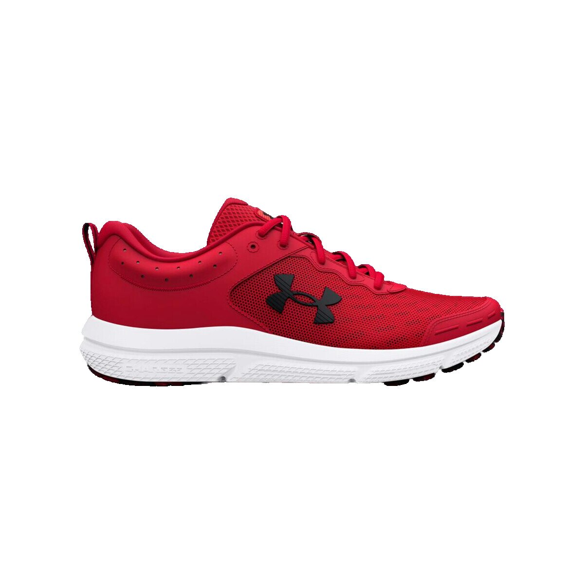 Under Armour Pantofi Charged Assert 10