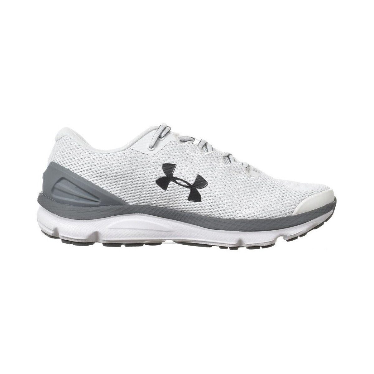 Under Armour Pantofi Charged Gemini 2020
