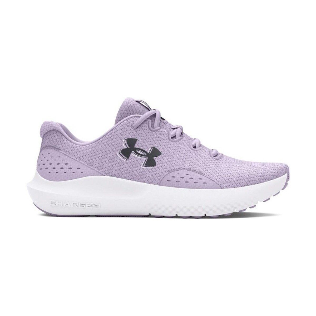 Under Armour Pantofi Charged Surge