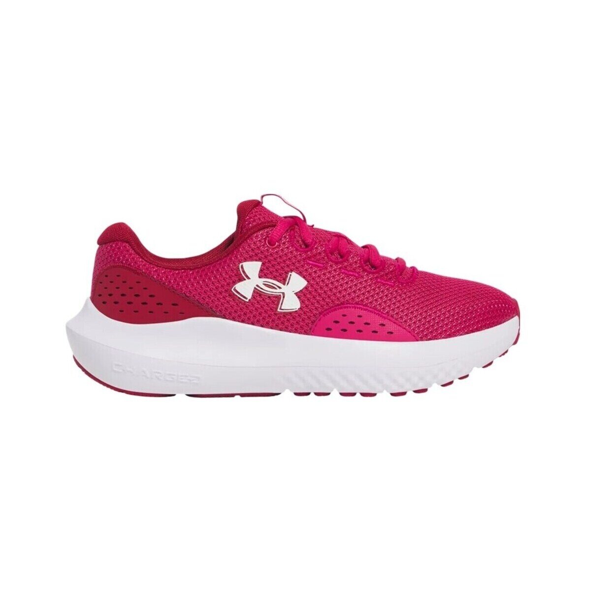 Under Armour Pantofi Charged Surge 4