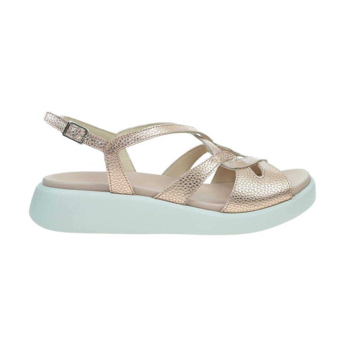 Wonders Pantofi C6550