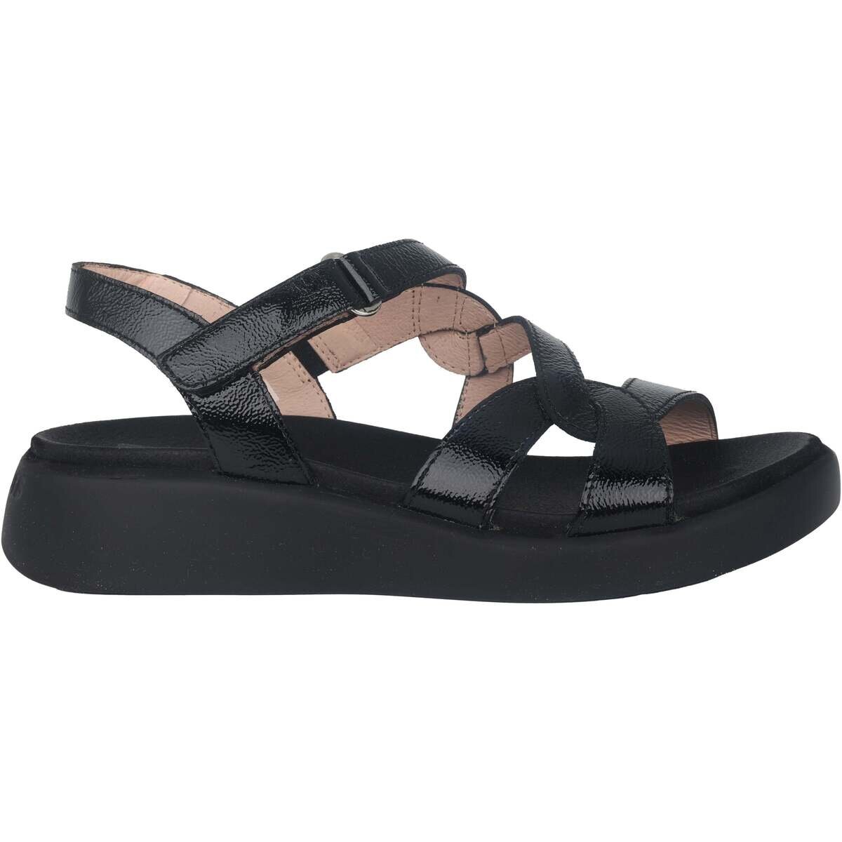 Wonders Pantofi Cordelia