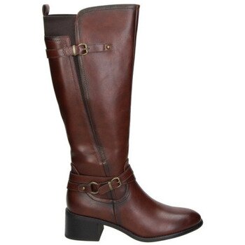 Zapp Pantofi 31953